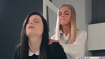 Το Lesbiancums.Com Παρουσιάζει: Λαμπερές Λεσβίες Επιδίδονται Σε Σκληρό Δαχτυλίδι Ποδιών Που Γαμάνε